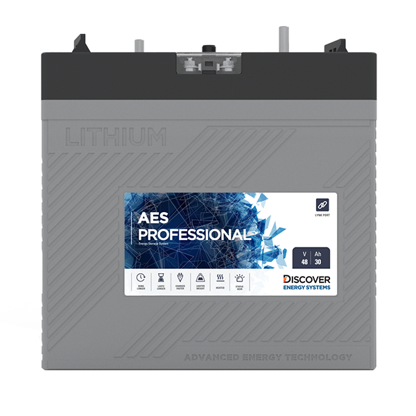 AES PROFESSIONAL